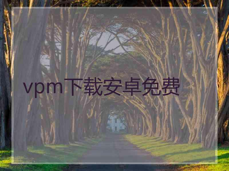 vpm下载安卓免费