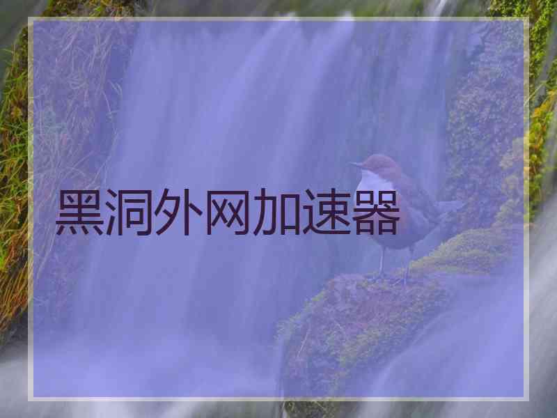 黑洞外网加速器