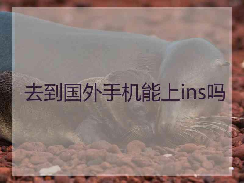 去到国外手机能上ins吗