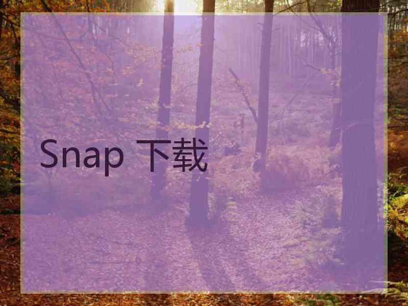 Snap 下载