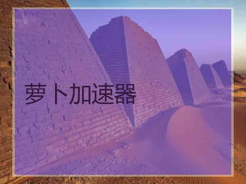萝卜加速器