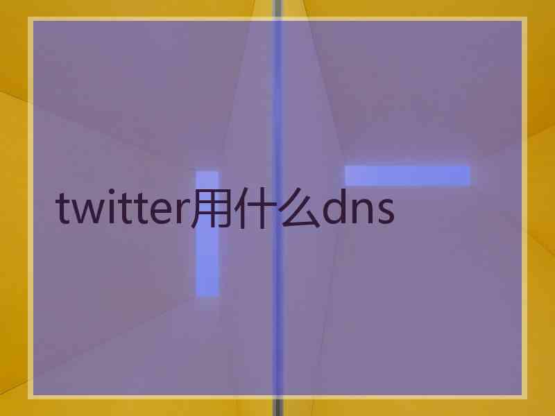 twitter用什么dns