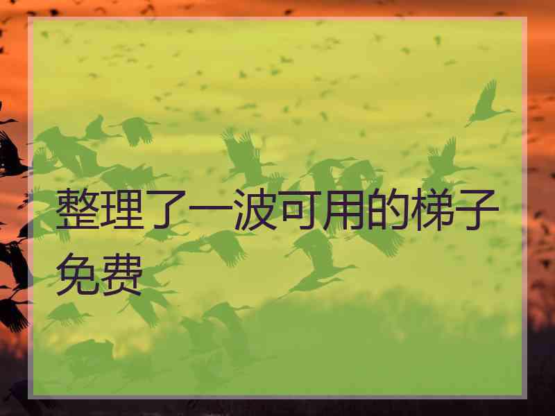 整理了一波可用的梯子免费