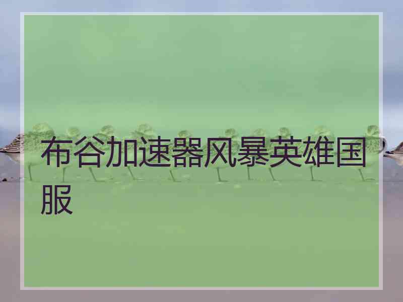 布谷加速器风暴英雄国服