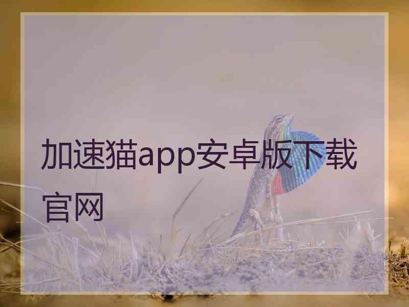 加速猫app安卓版下载官网