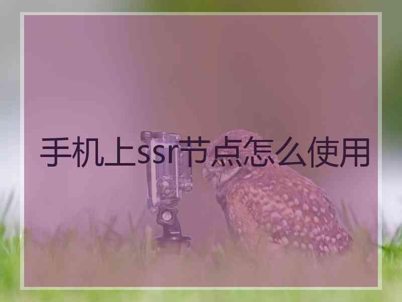 手机上ssr节点怎么使用