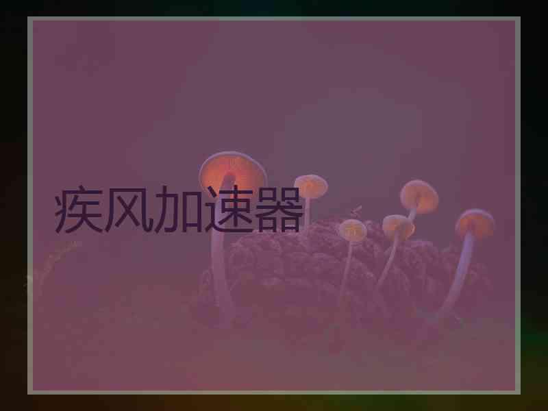 疾风加速器