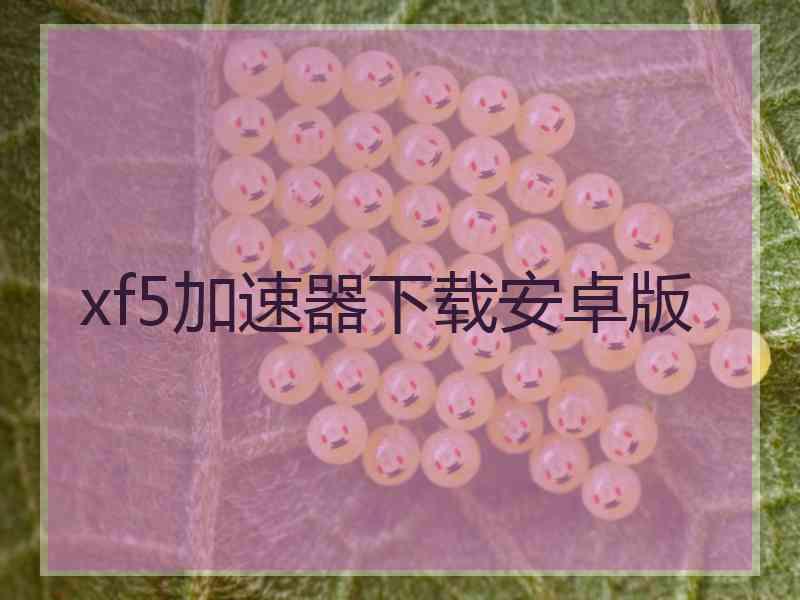 xf5加速器下载安卓版