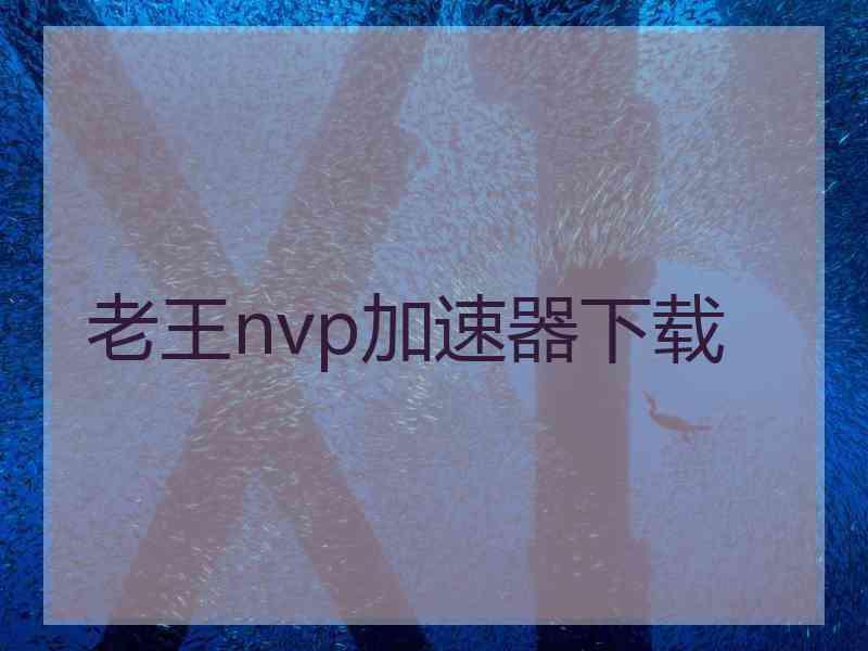 老王nvp加速器下载