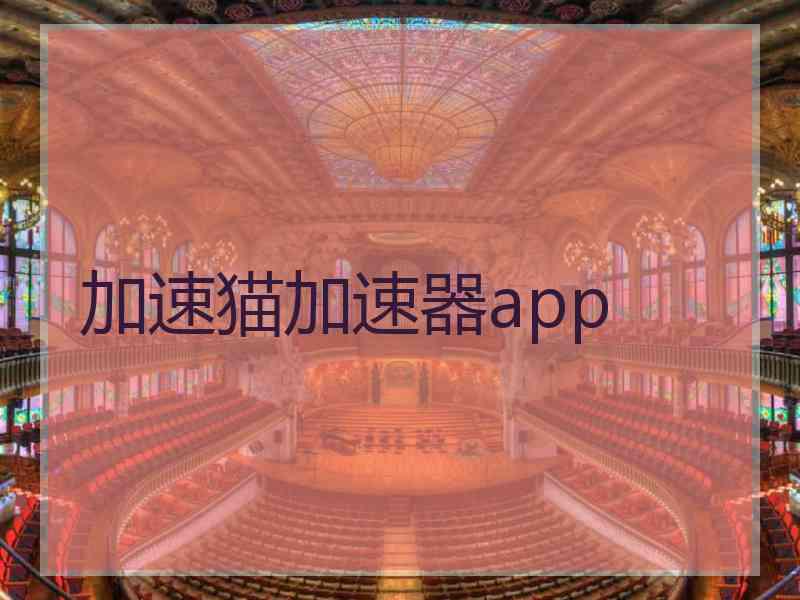 加速猫加速器app