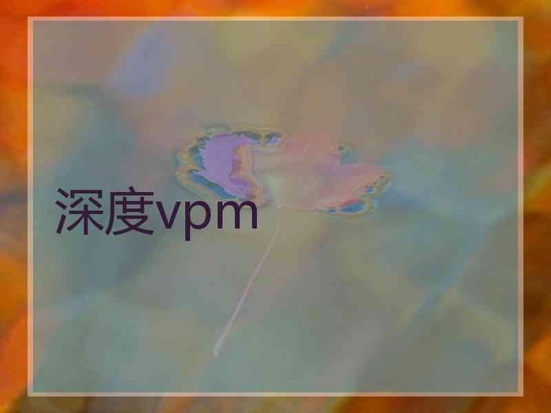 深度vpm