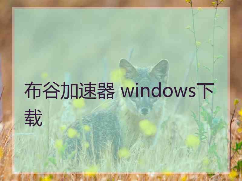 布谷加速器 windows下载