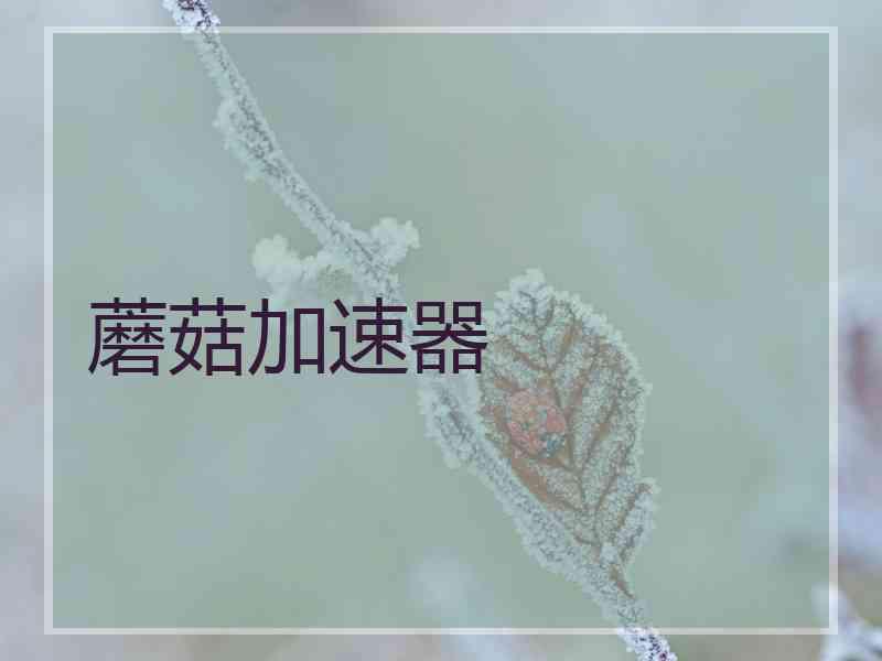 蘑菇加速器
