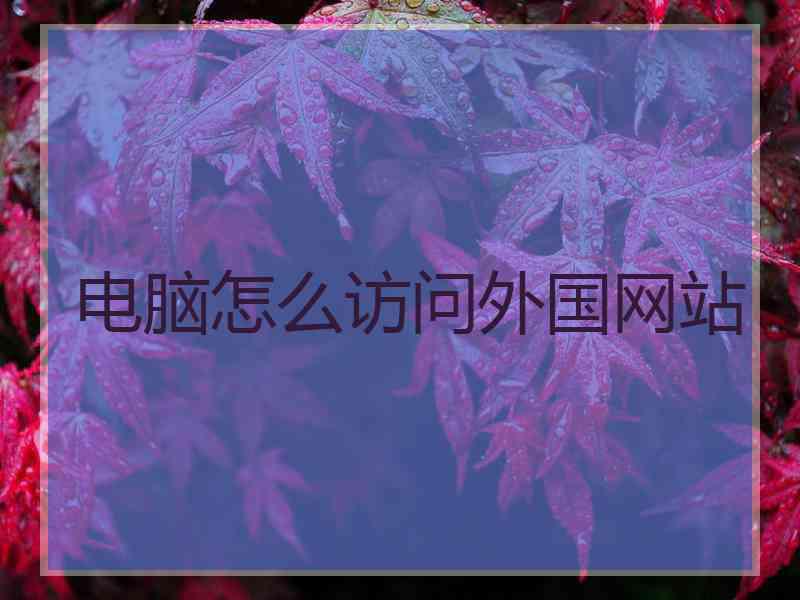 电脑怎么访问外国网站