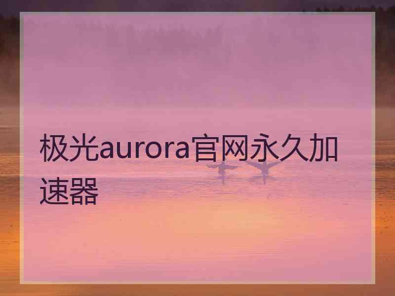 极光aurora官网永久加速器
