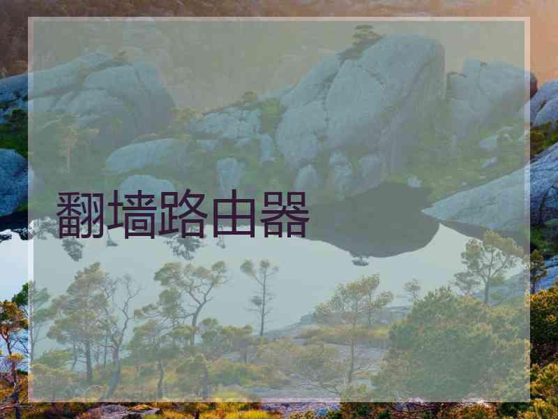 翻墙路由器