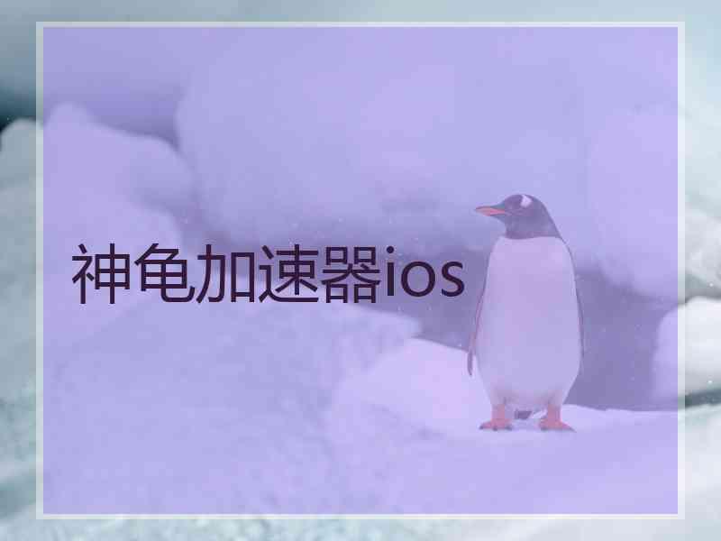 神龟加速器ios