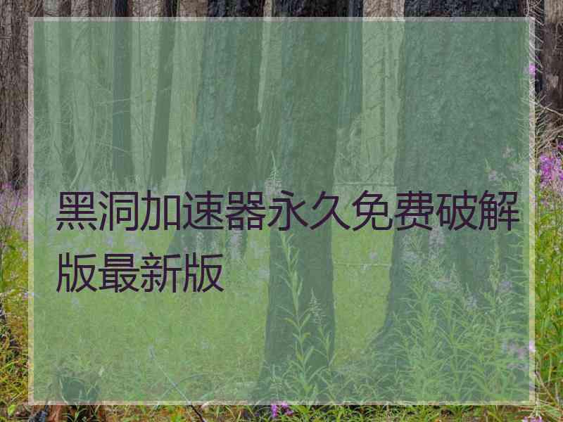 黑洞加速器永久免费破解版最新版