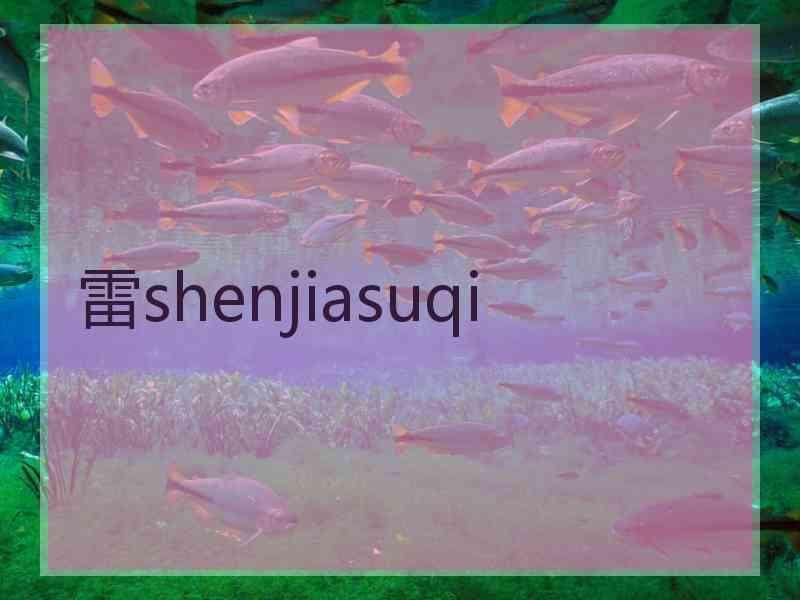 雷shenjiasuqi