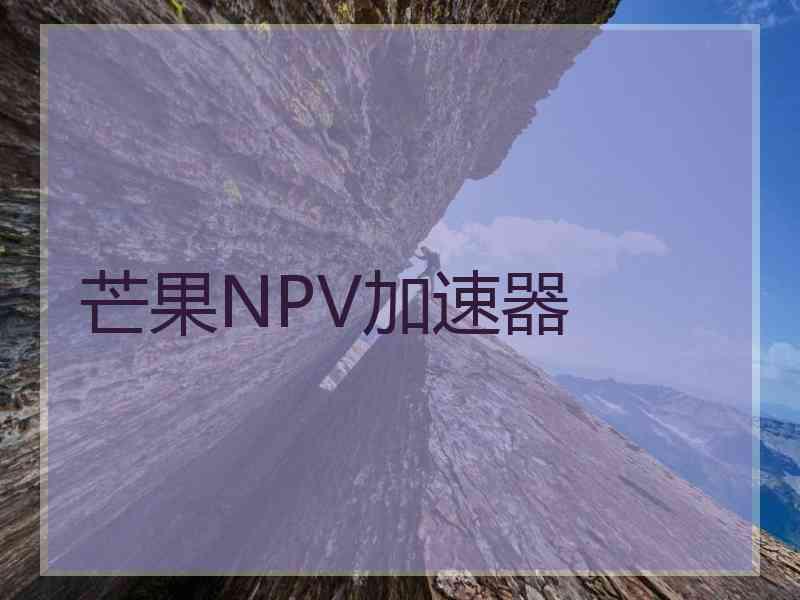 芒果NPV加速器