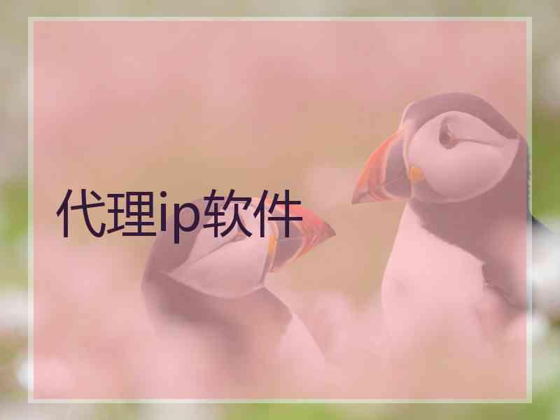 代理ip软件