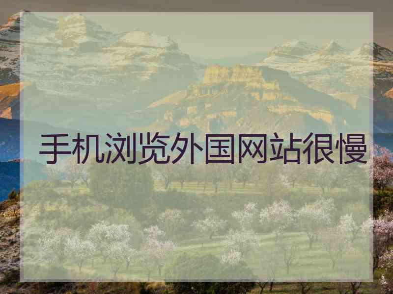 手机浏览外国网站很慢