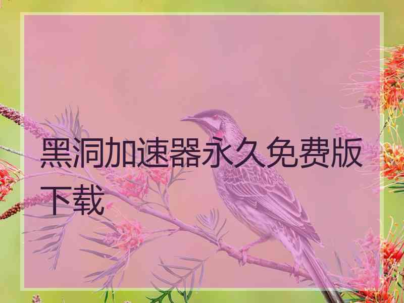黑洞加速器永久免费版下载