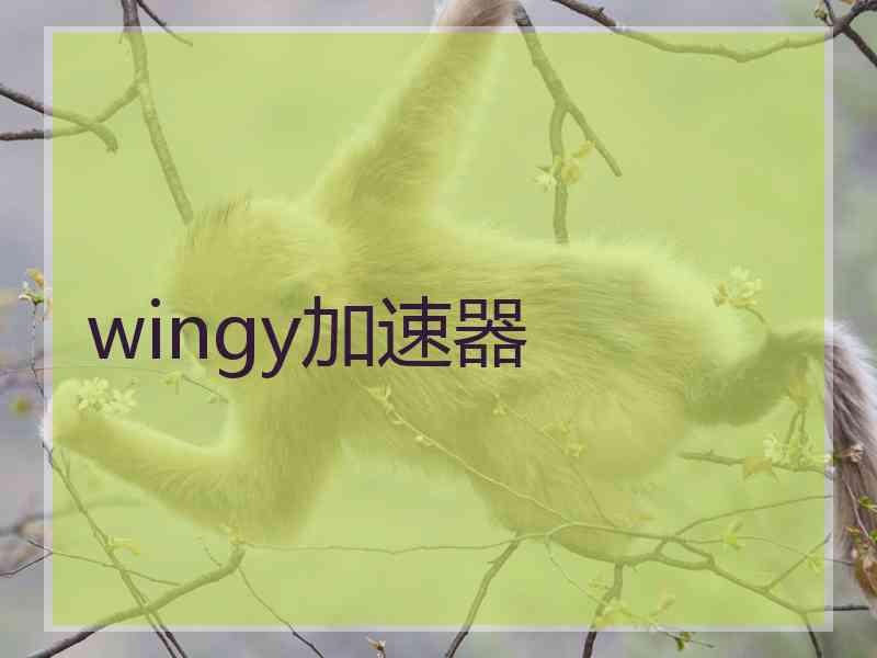 wingy加速器