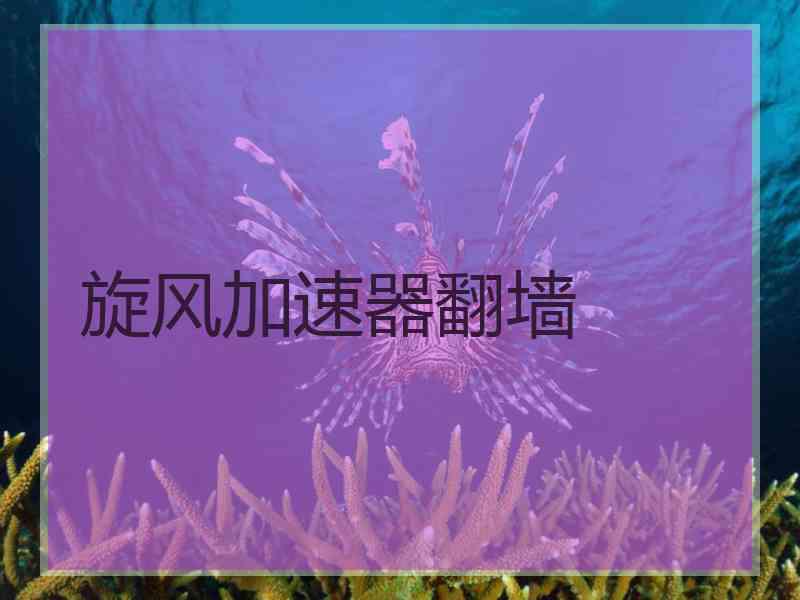 旋风加速器翻墙