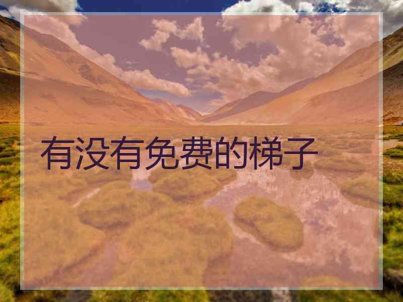 有没有免费的梯子