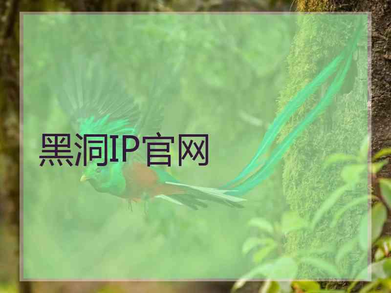 黑洞IP官网