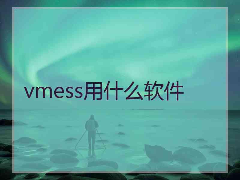 vmess用什么软件