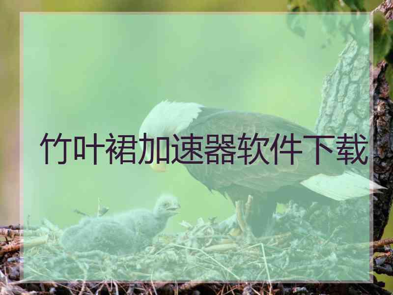 竹叶裙加速器软件下载