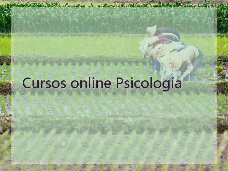 Cursos online Psicología