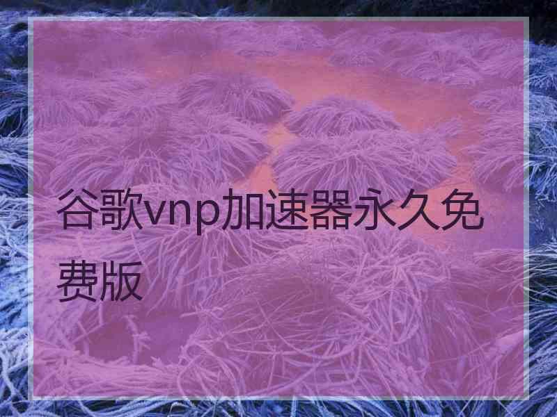谷歌vnp加速器永久免费版