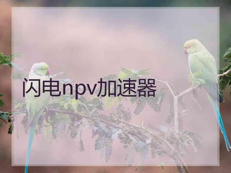 闪电npv加速器