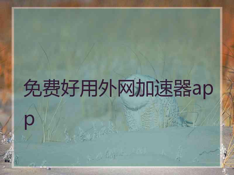 免费好用外网加速器app
