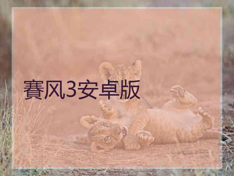 賽风3安卓版