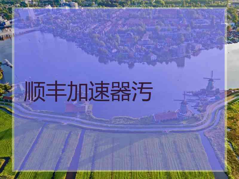 顺丰加速器汚
