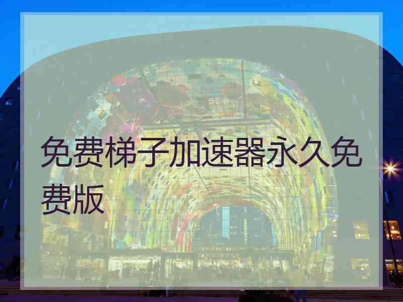 免费梯子加速器永久免费版