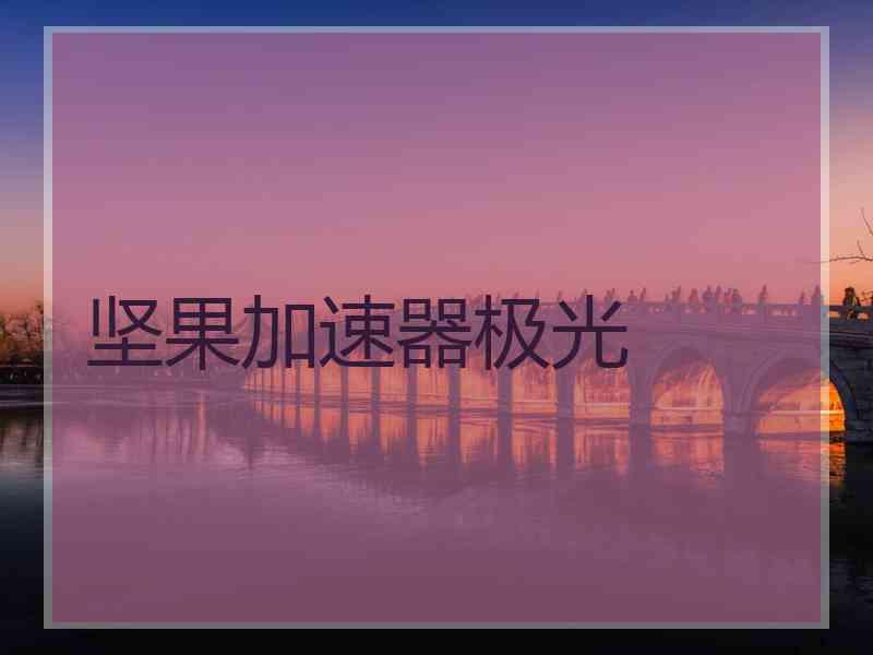 坚果加速器极光