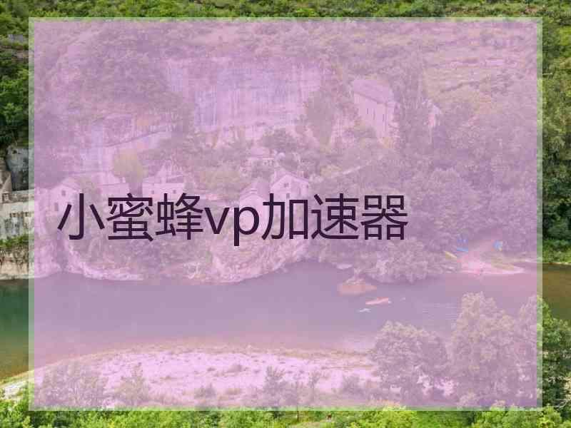 小蜜蜂vp加速器