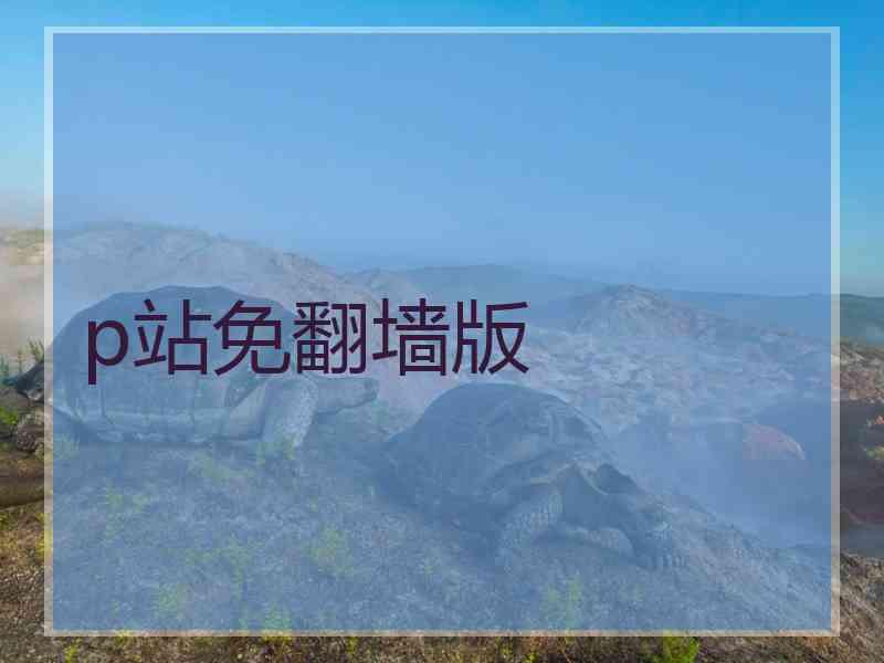p站免翻墙版