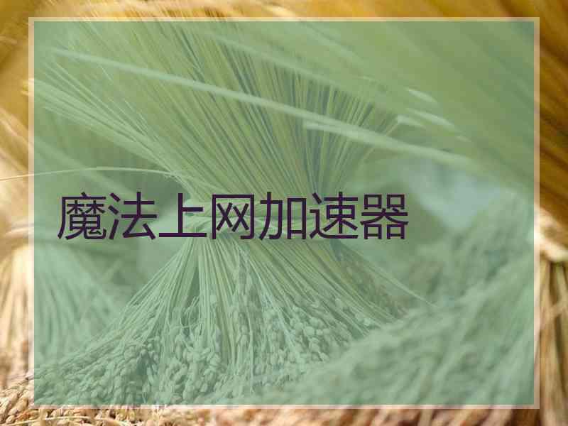 魔法上网加速器