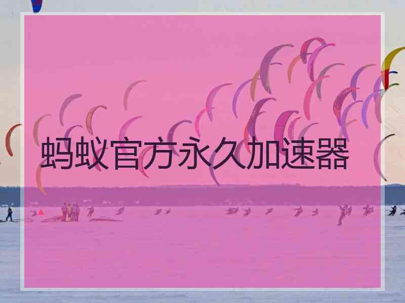 蚂蚁官方永久加速器