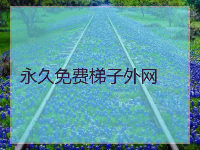 永久免费梯子外网