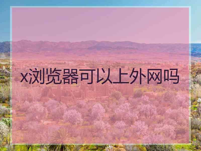 x浏览器可以上外网吗