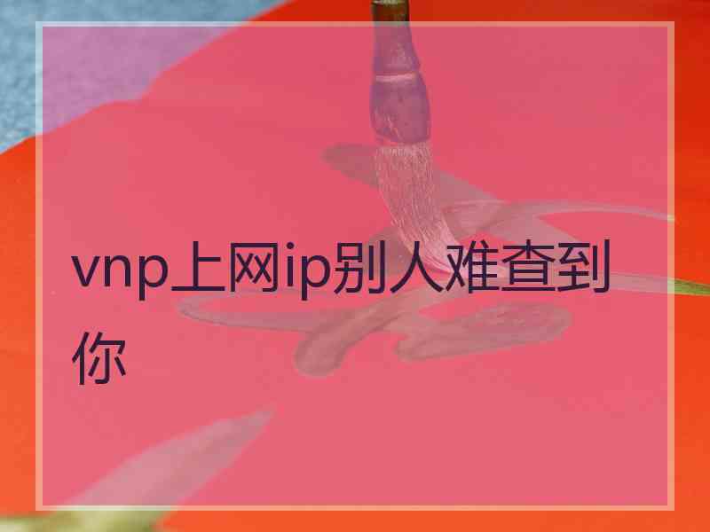 vnp上网ip别人难查到你