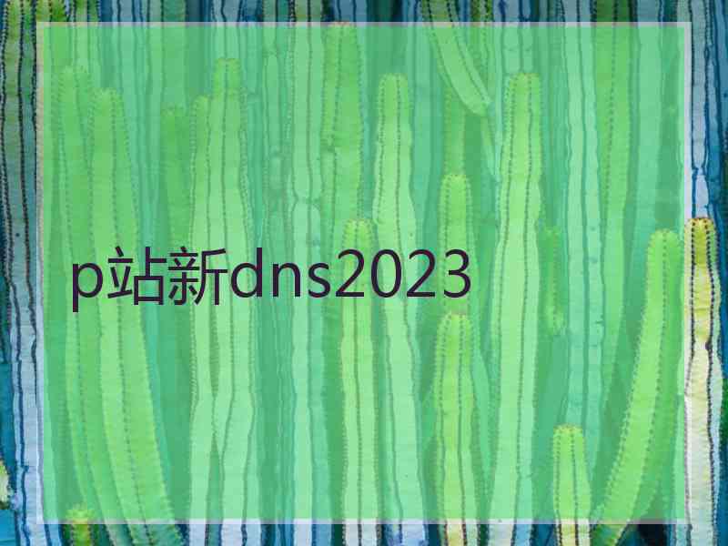 p站新dns2023