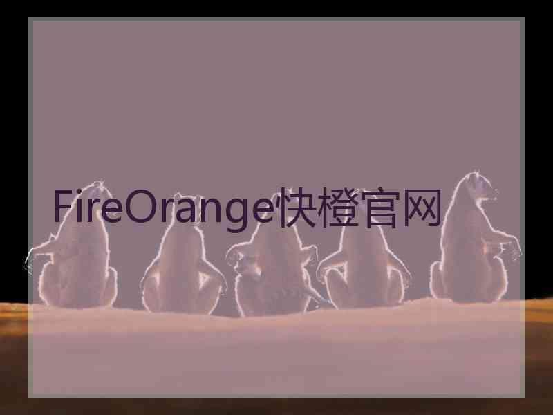 FireOrange快橙官网